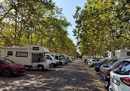 La espera en Urgencias y las terrazas en Logroño: en el Teléfono del Lector de hoy