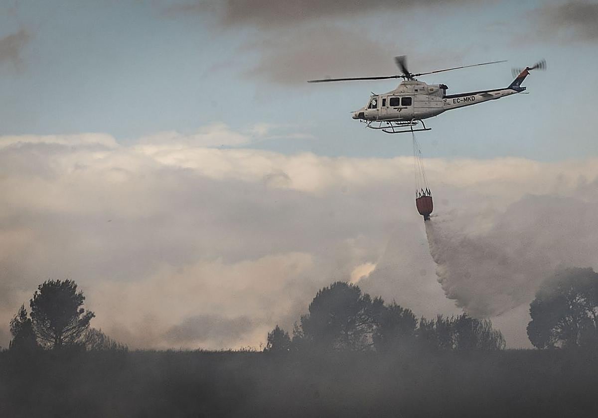 IU pide más presupuesto para gestión forestal y la estabilización de bomberos forestales