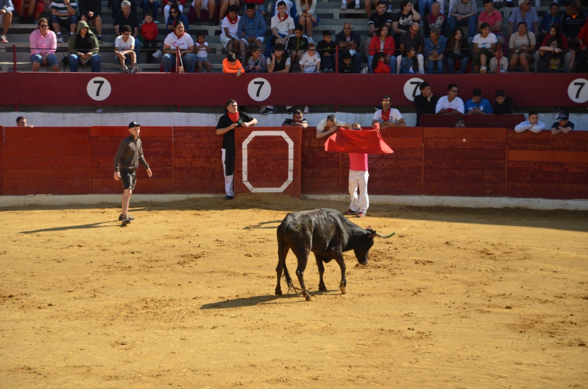 Las fiestas infantiles de Calahorra
