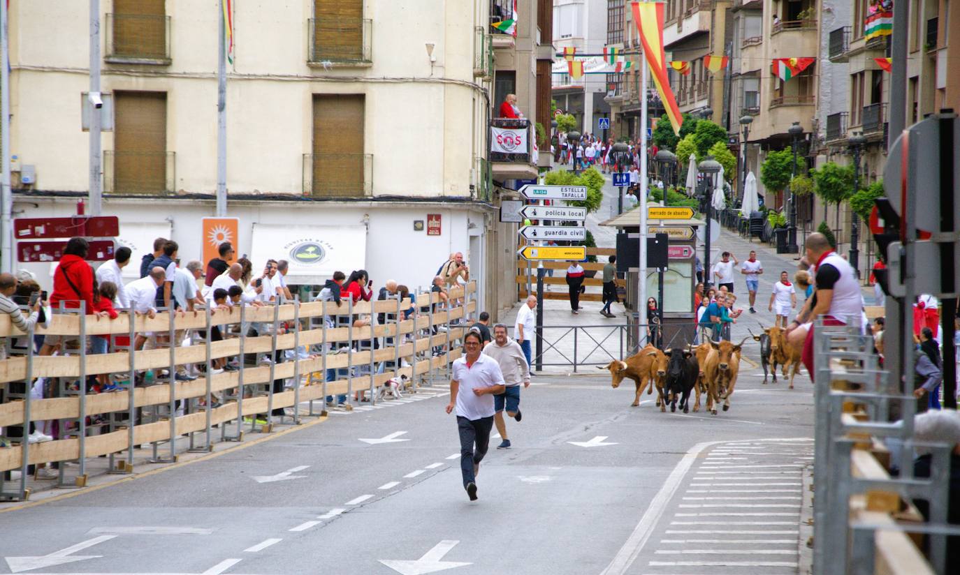 Las imágenes de las degustaciones, brindis y vacas en las fiestas de Calahorra