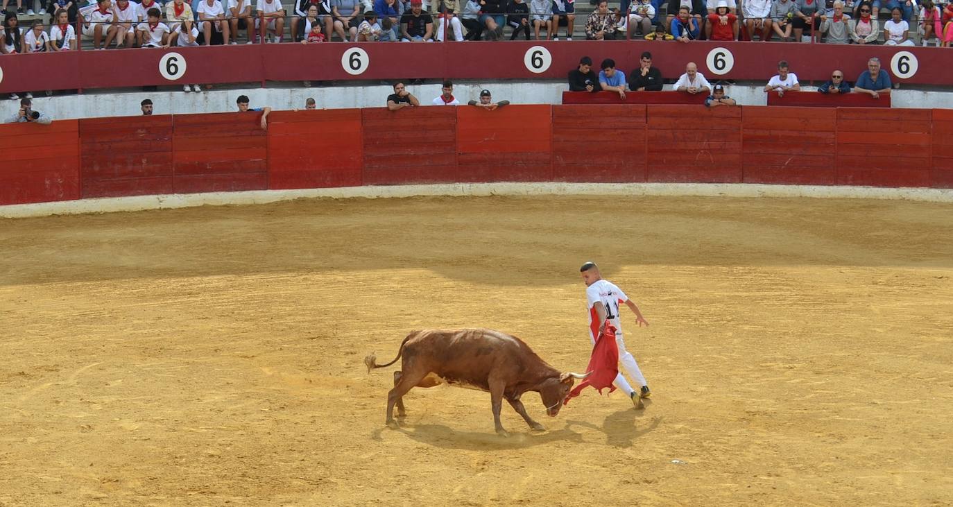 Las imágenes de las degustaciones, brindis y vacas en las fiestas de Calahorra