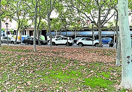 Olores, actos vandálicos, excrementos... hoy en el Teléfono del Lector