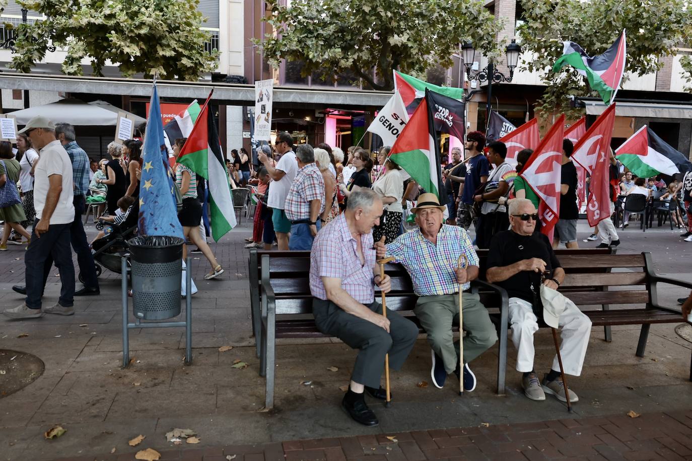 Las imágenes de la movilización logroñesa contra el «genocidio palestino»