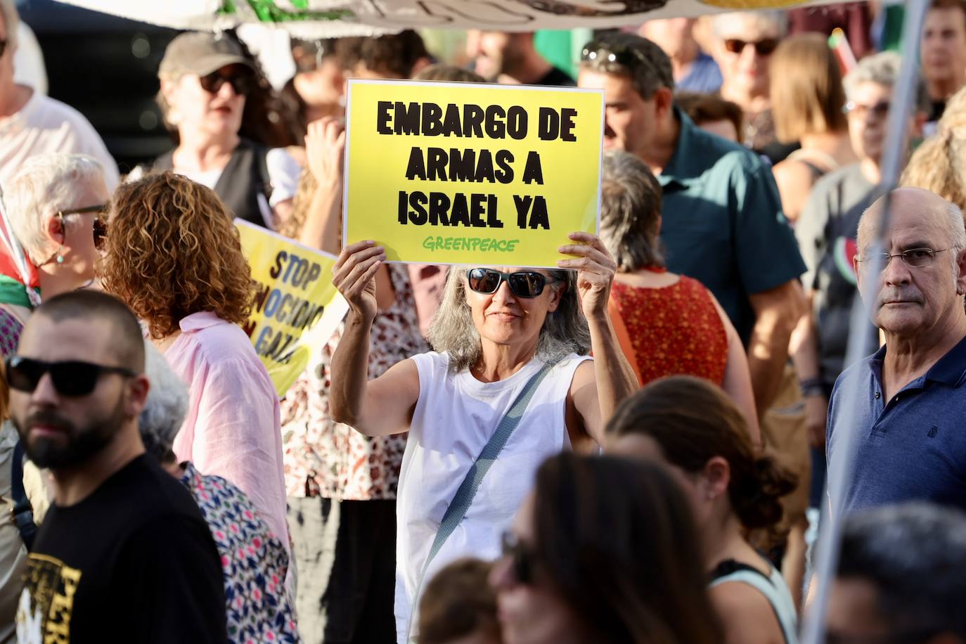 Las imágenes de la movilización logroñesa contra el «genocidio palestino»