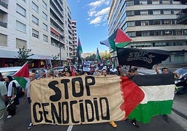 Manifestación para reclamar el fin de la agresión israelí a Palestina, en el centro de Logroño.