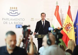 Gonzalo Capellán, durante su intervención en el Parlamento.