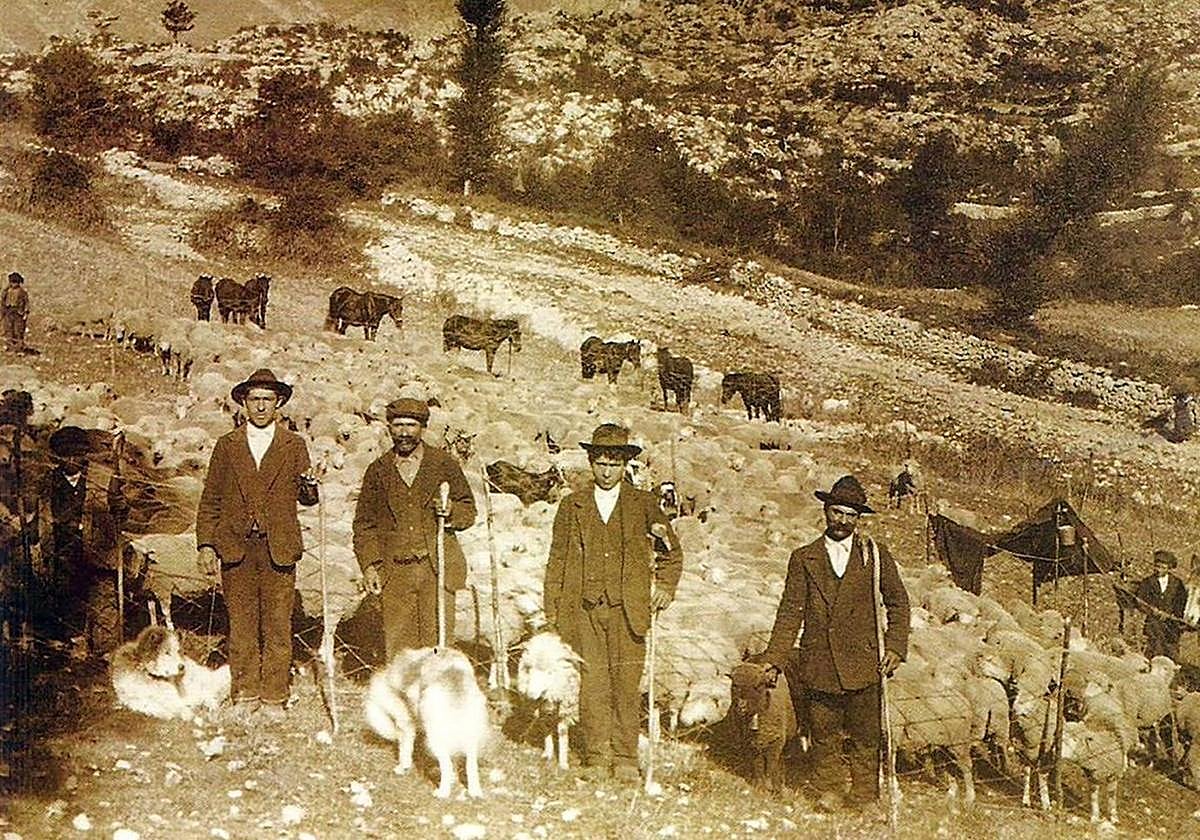 Pastores trashumantes en el Alto Najerilla.