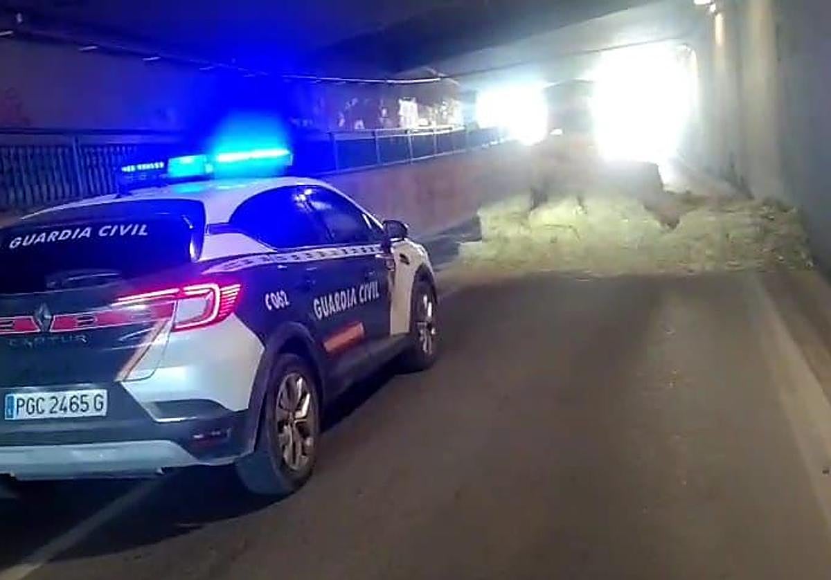Un camión procedente de Logroño pierde parte de la carga de paja en un túnel de Cortes, en Navarra