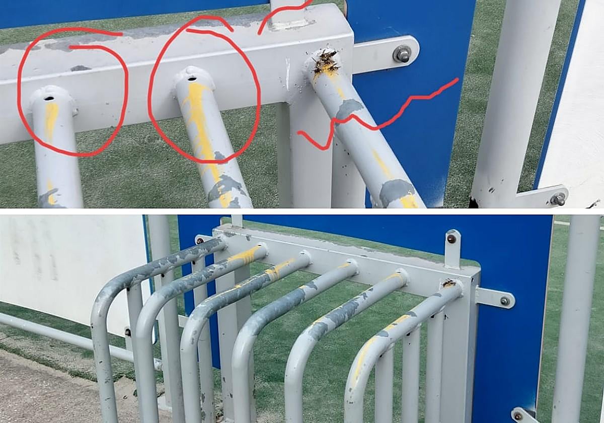 Trenes, árboles, ruidos, caos... los temas del Teléfono del Lector