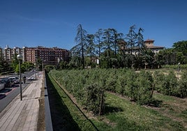 Traseras de Corazonistas, donde se ubicará el nuevo edifcio de Medicina.