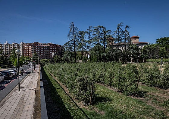 Traseras de Corazonistas, donde se ubicará el nuevo edifcio de Medicina.