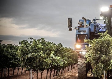 FECOAR alerta que los bajos precios de algunos operadores a los viticultores «les condenan a la ruina»