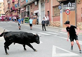 Uno de los recortadores, ayer ante un astado en Puerta Tudela.