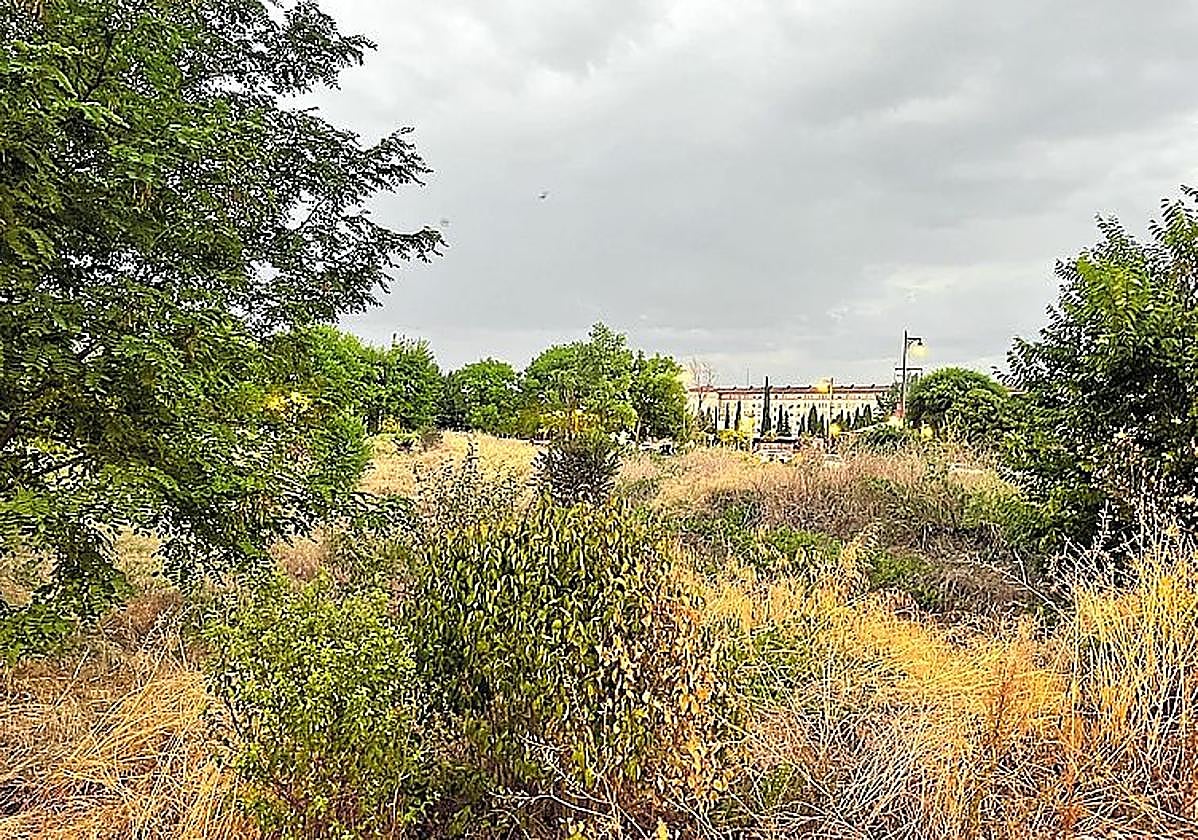«Cualquier día sale un cocodrilo» por El Campillo, hoy en La Guindilla.