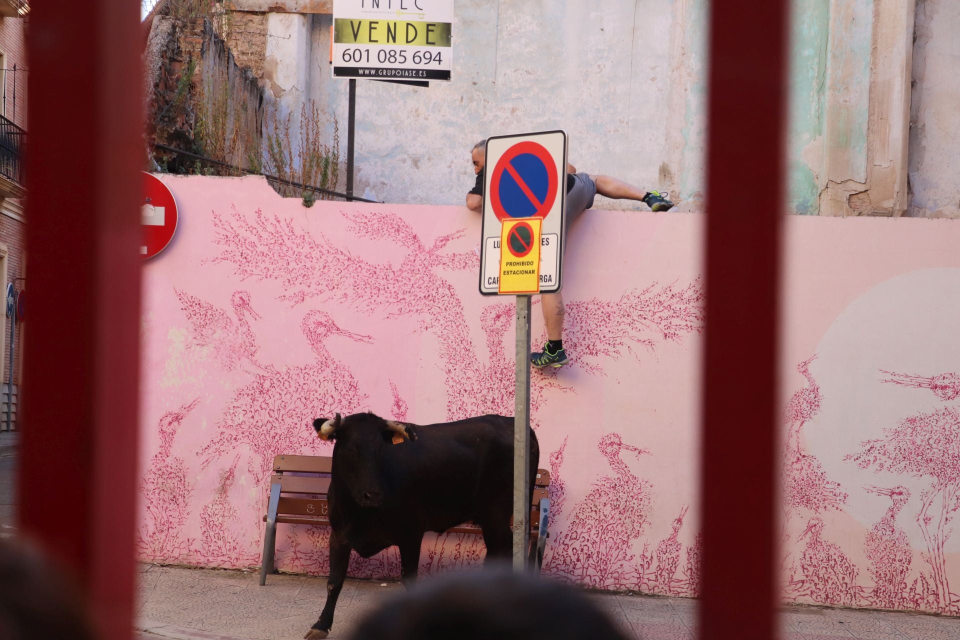 Las fiestas de Alfaro, en imágenes