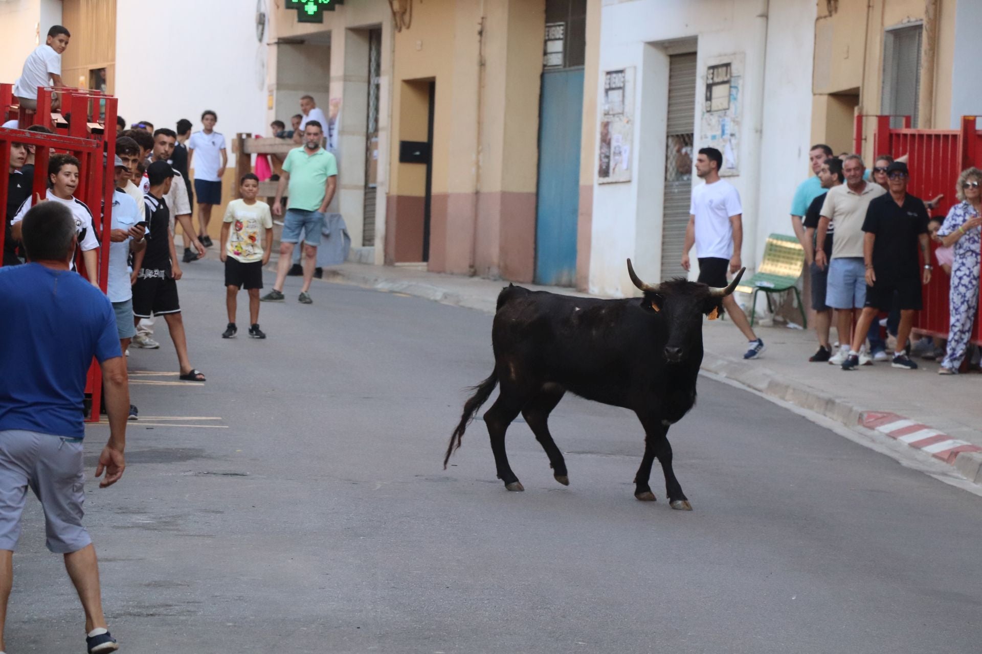 Las fiestas de Alfaro, en imágenes