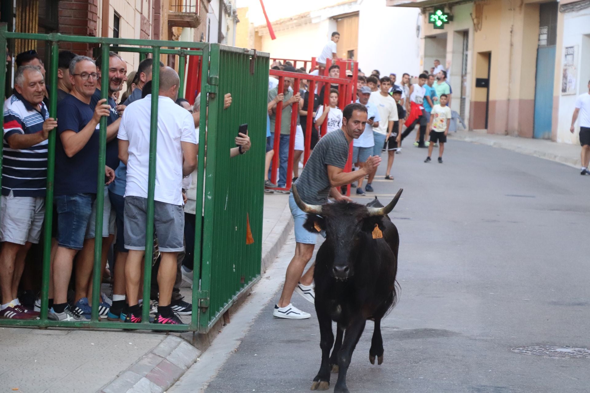 Las fiestas de Alfaro, en imágenes