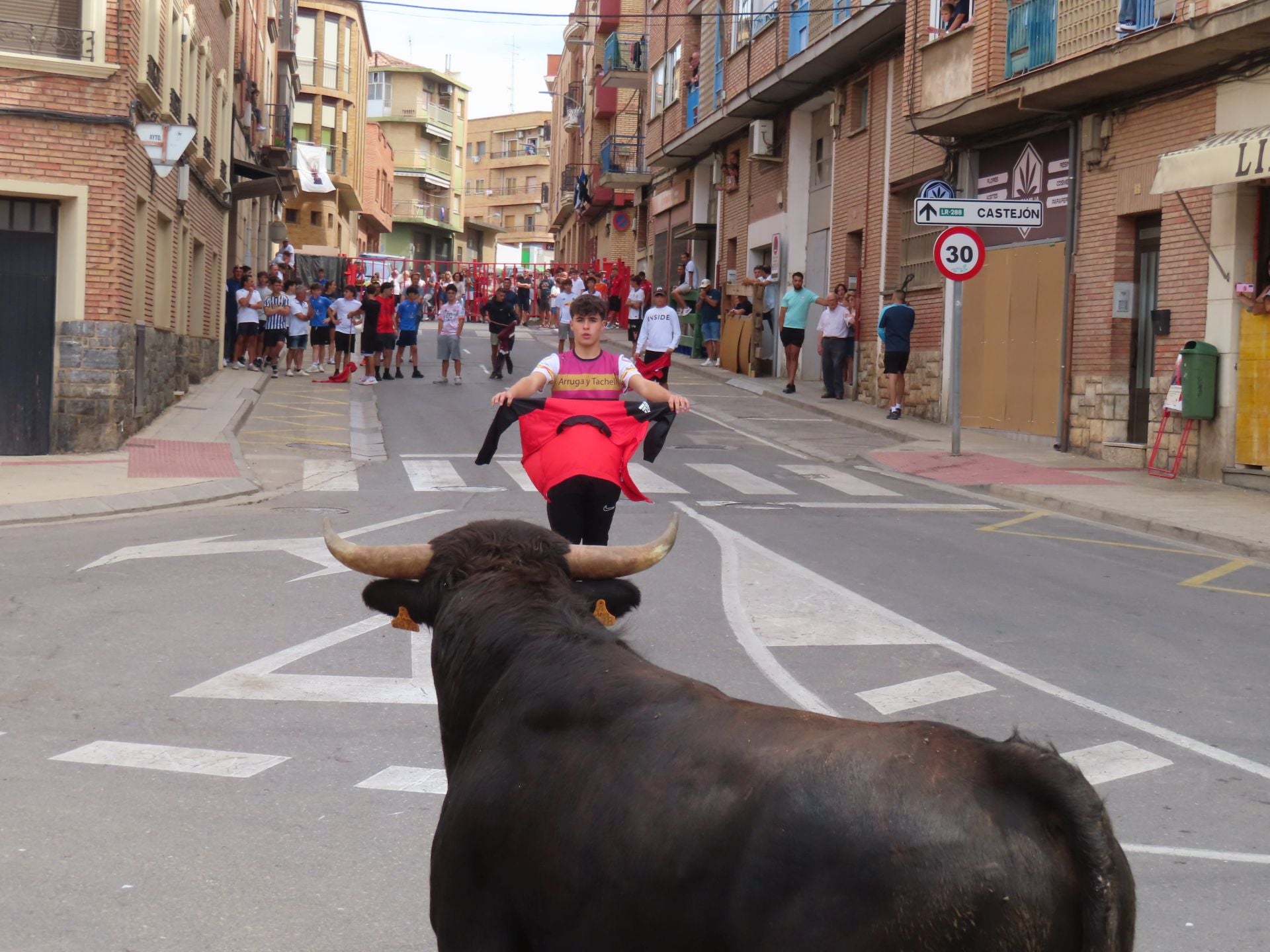 Alfaro celebra a la Virgen del Burgo