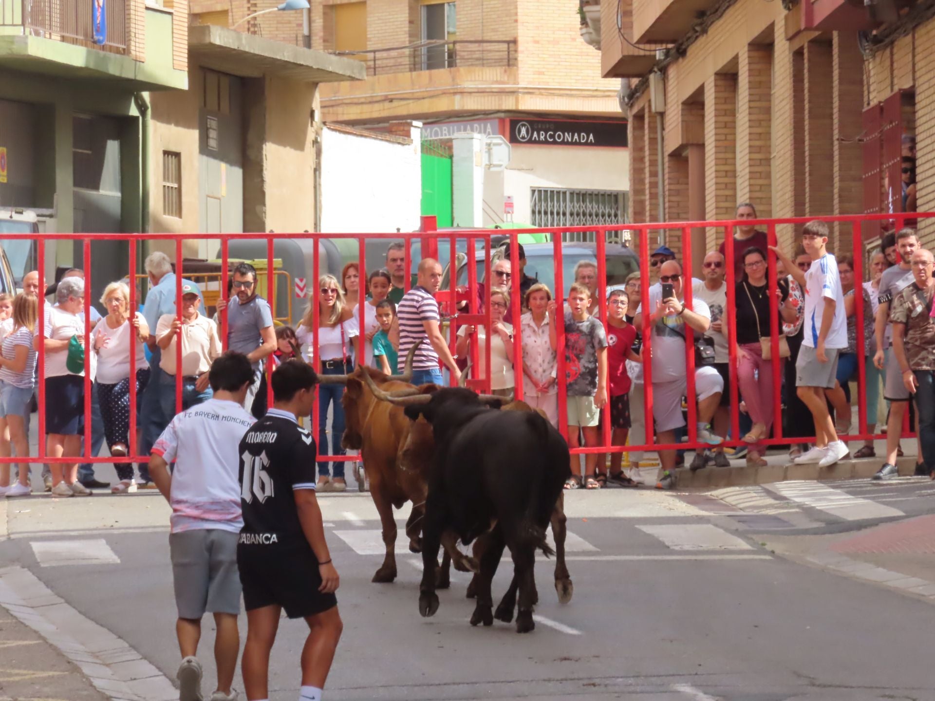 Alfaro celebra a la Virgen del Burgo
