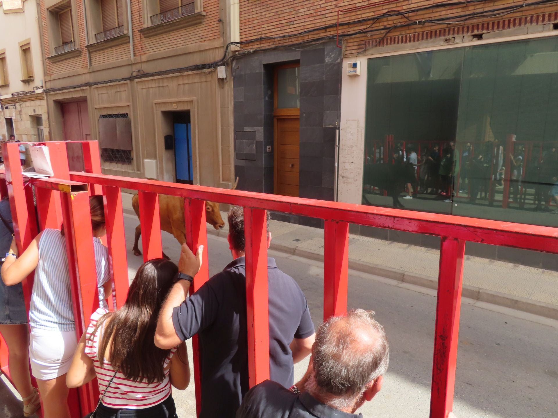 Alfaro celebra a la Virgen del Burgo