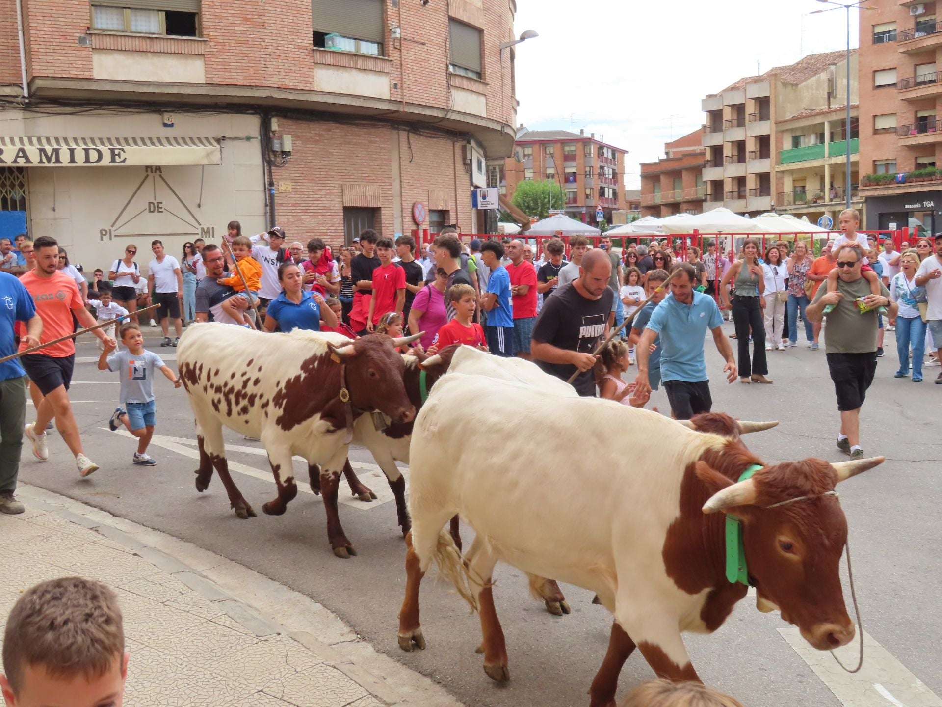 Alfaro celebra a la Virgen del Burgo