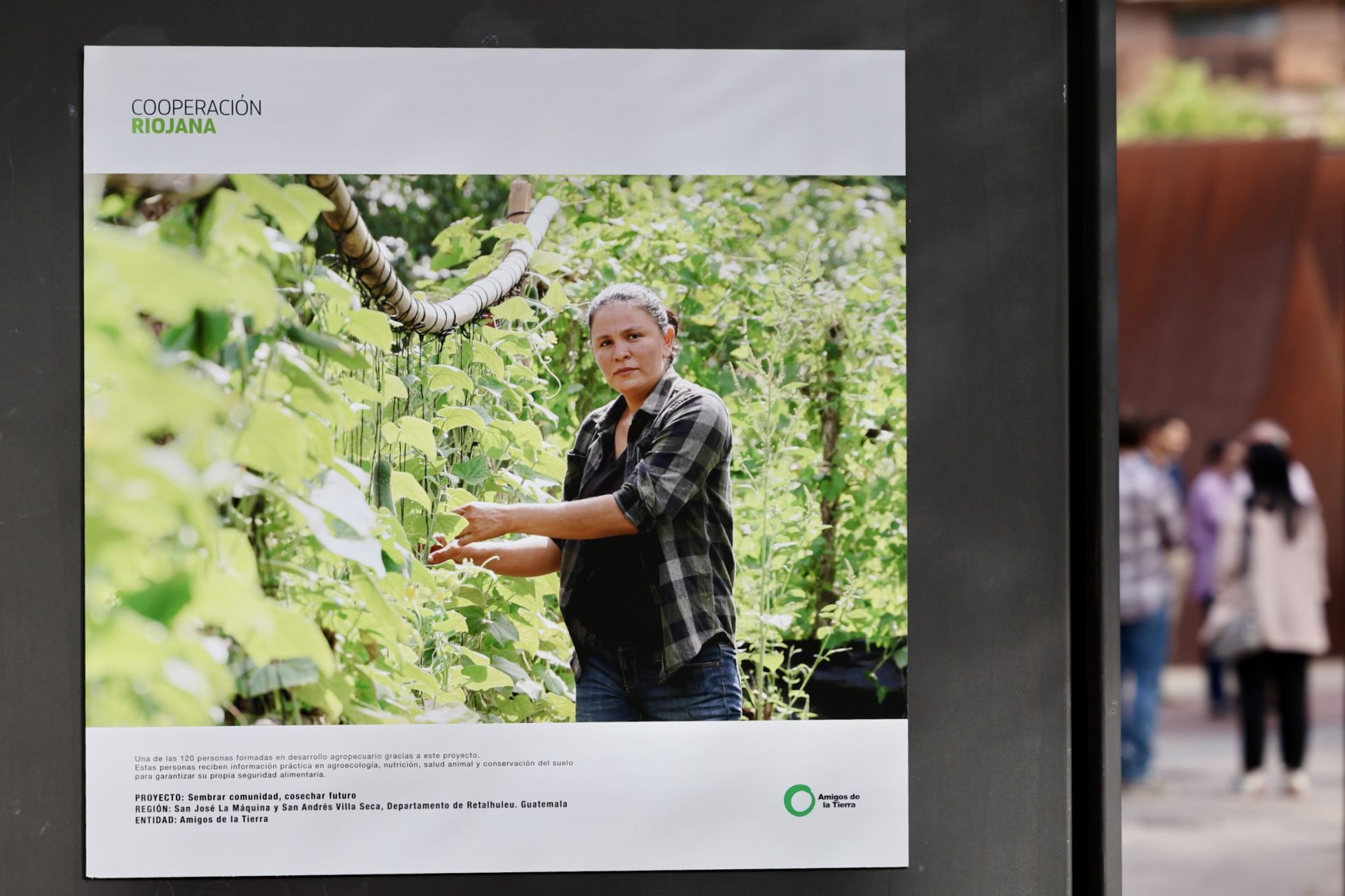 &#039;Cooperación Riojana: un compromiso compartido&#039;, exposición en el Espolón de Logroño
