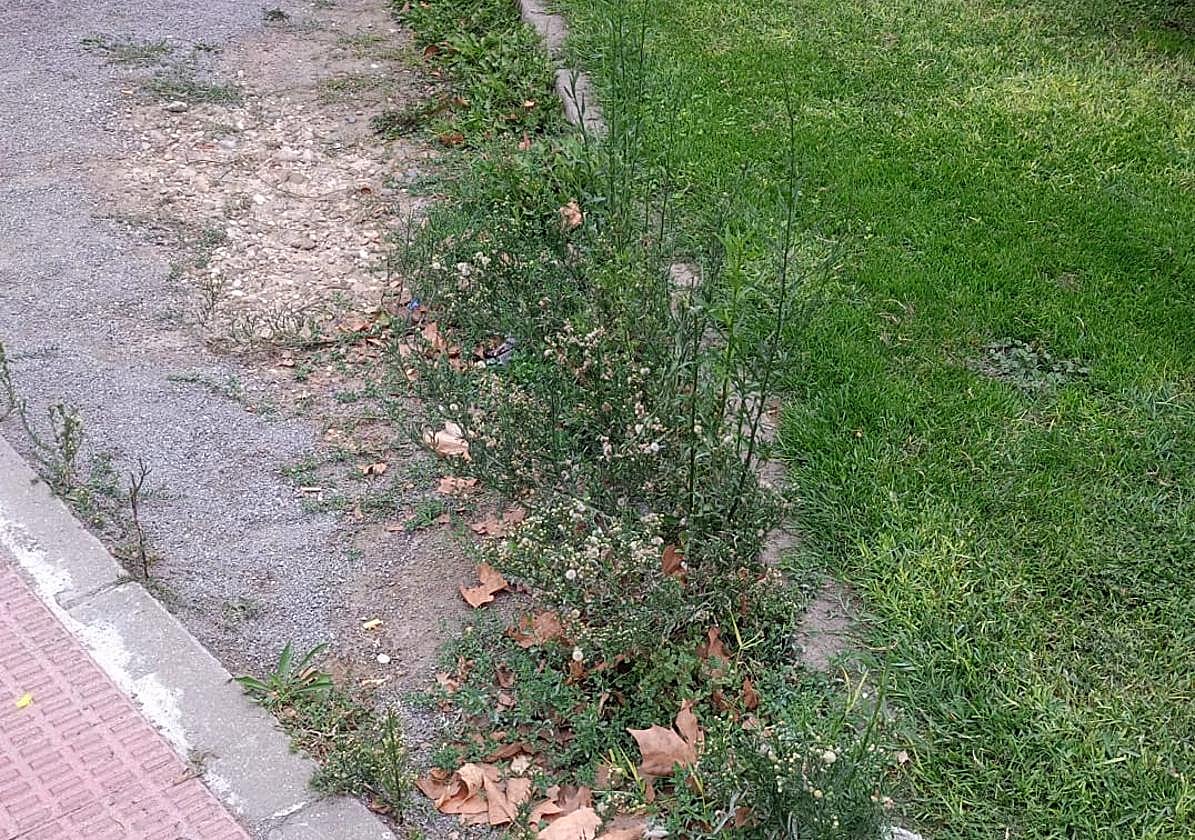El enfado de las calderetas o los recibos del agua, en el Teléfono del lector