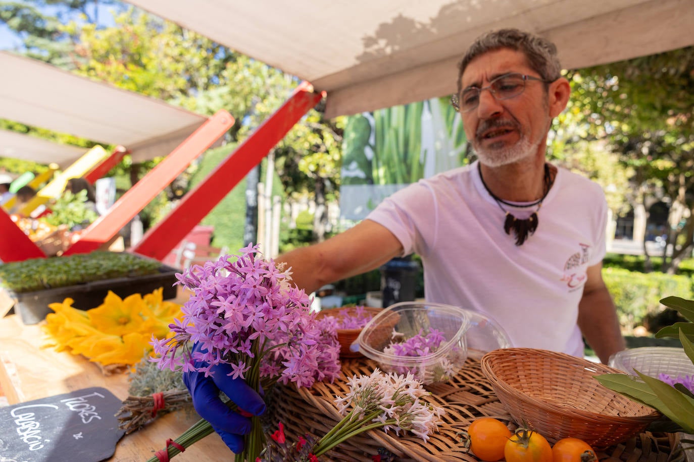 Las imágenes del Concurso Agrícola de La Rioja