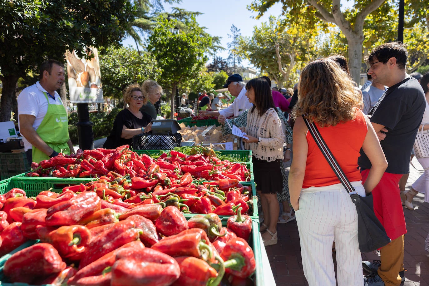 Las imágenes del Concurso Agrícola de La Rioja