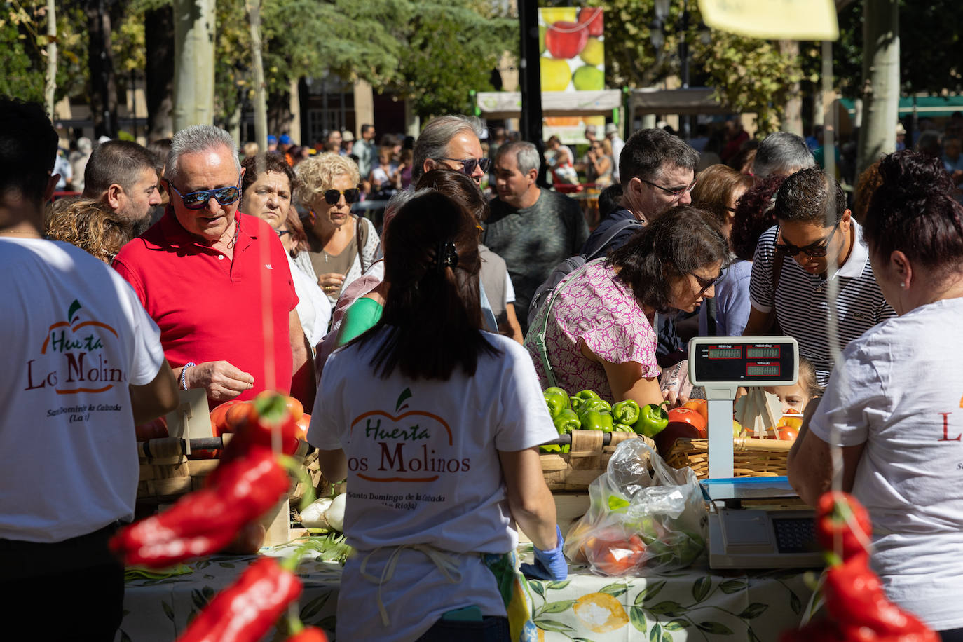 Las imágenes del Concurso Agrícola de La Rioja