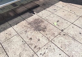 «Decepción absoluta» con las fiestas de San Mateo, en el Teléfono del Lector de hoy