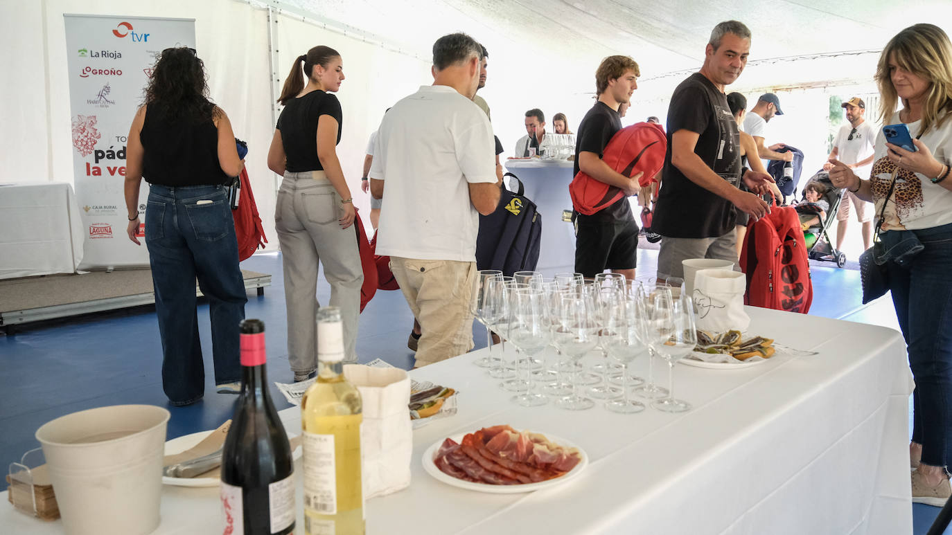 Las imágenes del Torneo La Vendimia de pádel