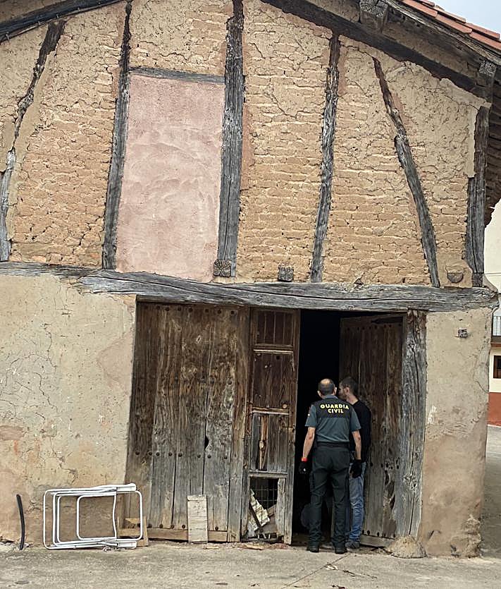 Imagen secundaria 2 - Rescatados dos perros en Morales junto al cadáver de otro