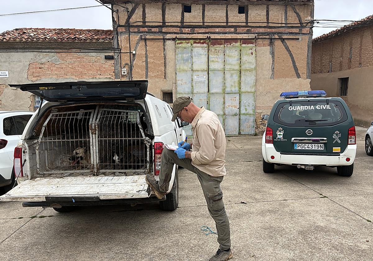 Rescatados dos perros en Morales junto al cadáver de otro