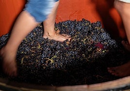 Programa de San Mateo del domingo 21 de septiembre