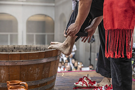 Directo: el Pisado de la Uva desde el Sagasta