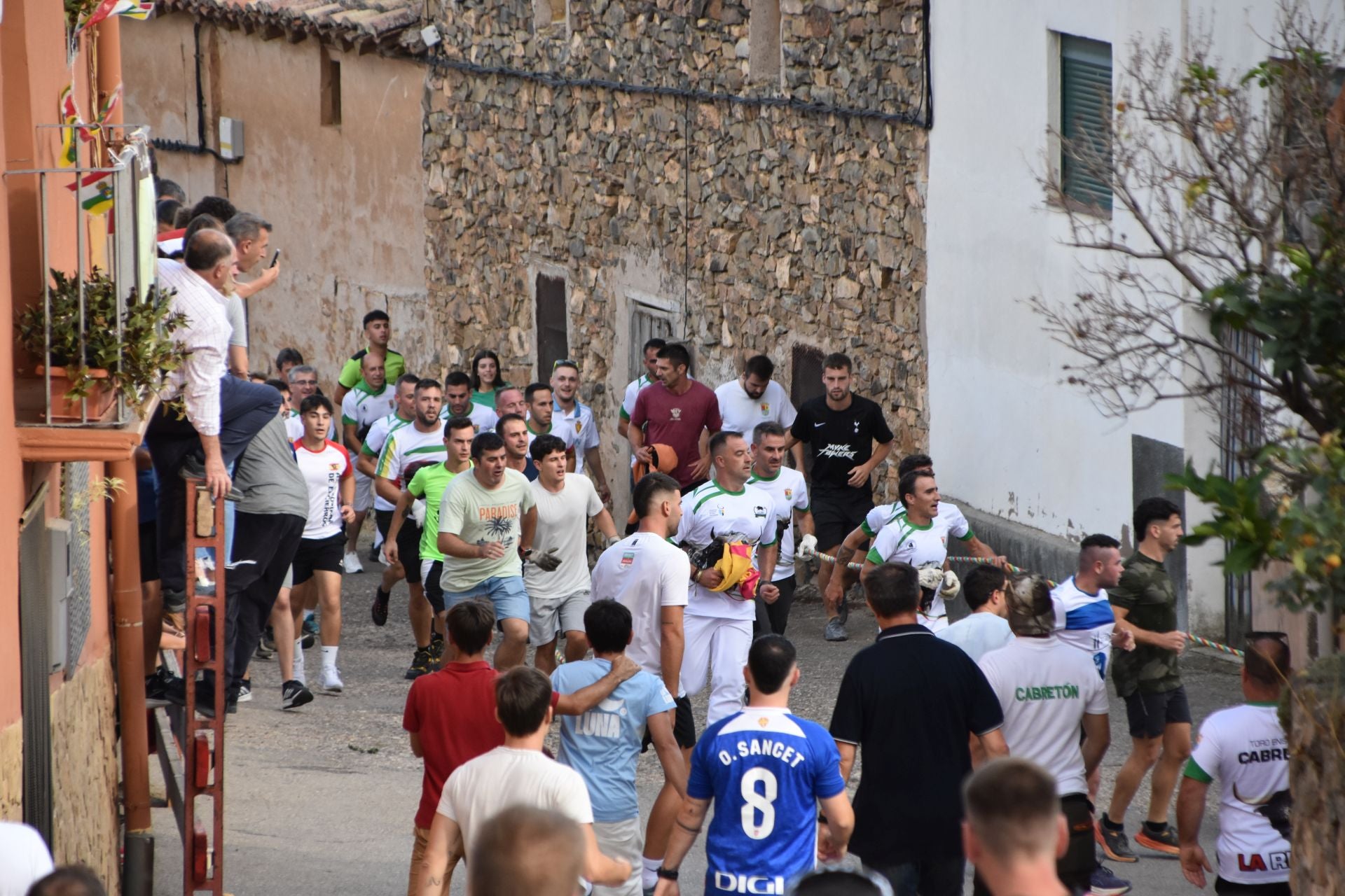 La suelta de toros ensogados, en imágenes