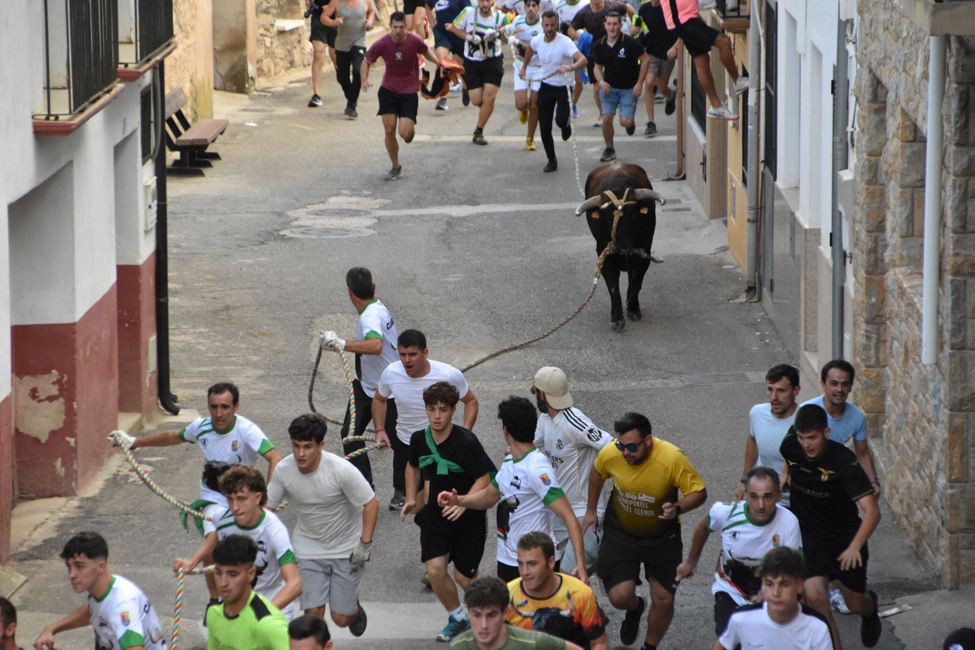La suelta de toros ensogados, en imágenes