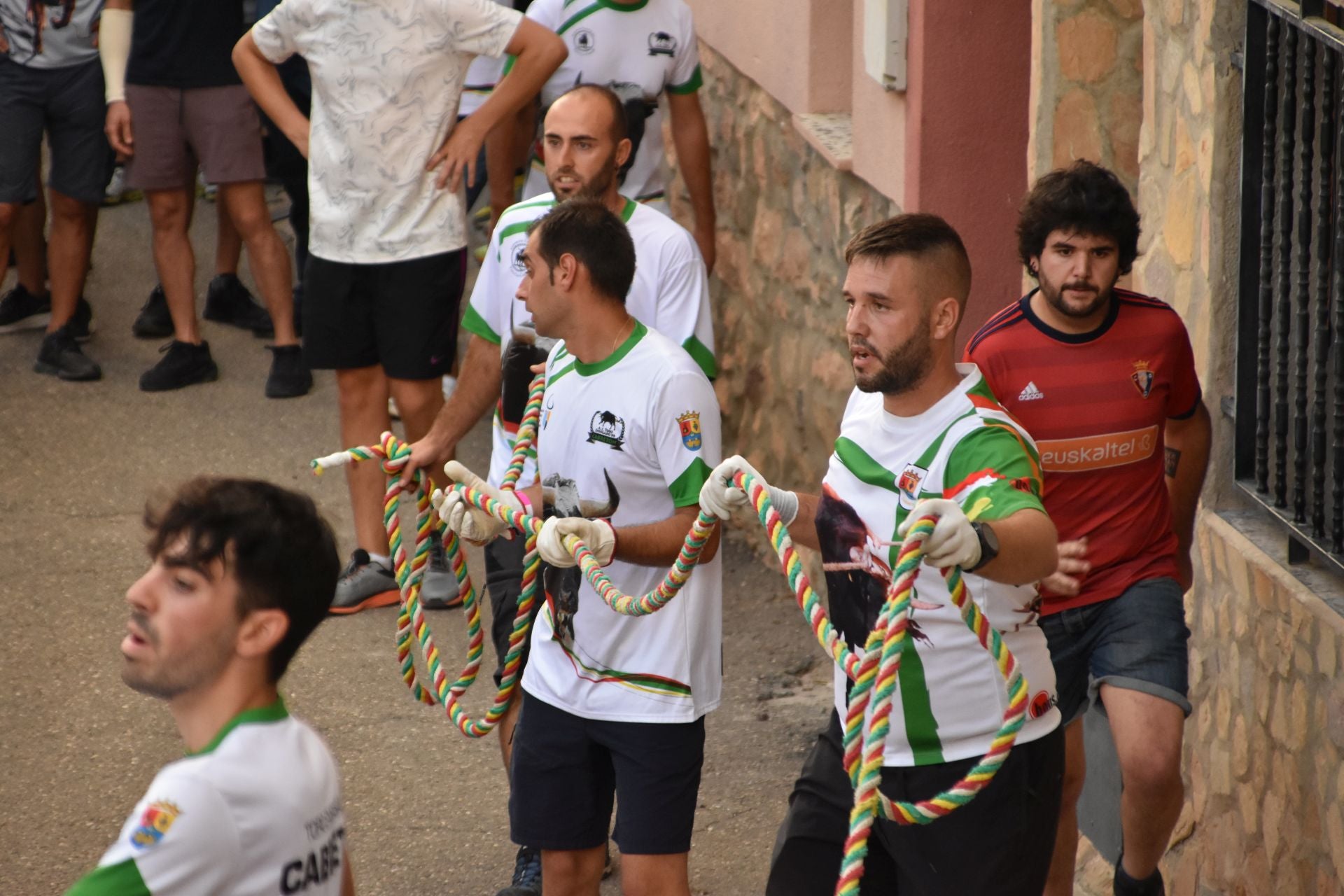 La suelta de toros ensogados, en imágenes