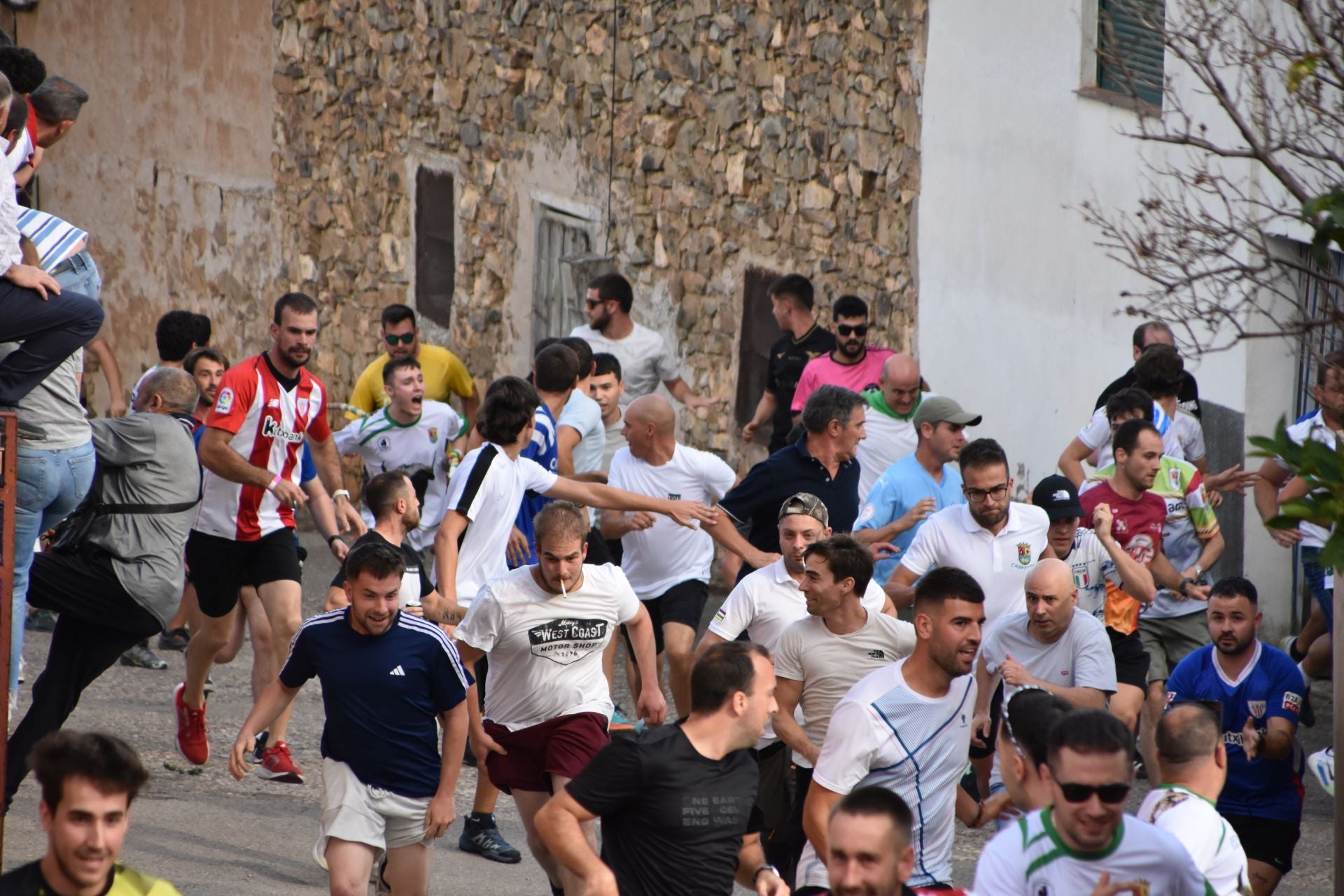 La suelta de toros ensogados, en imágenes