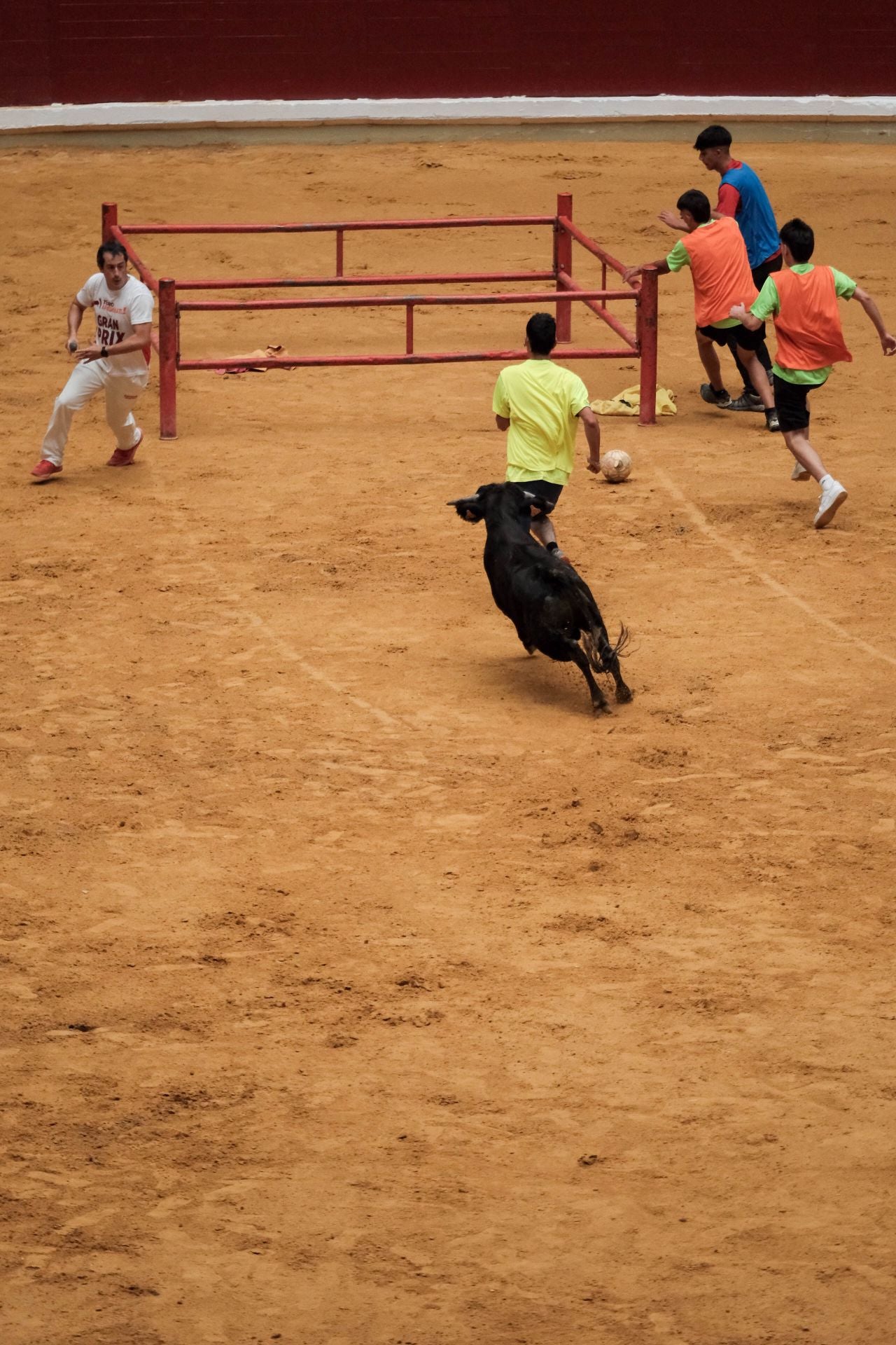 Las imágenes de las primeras vaquillas