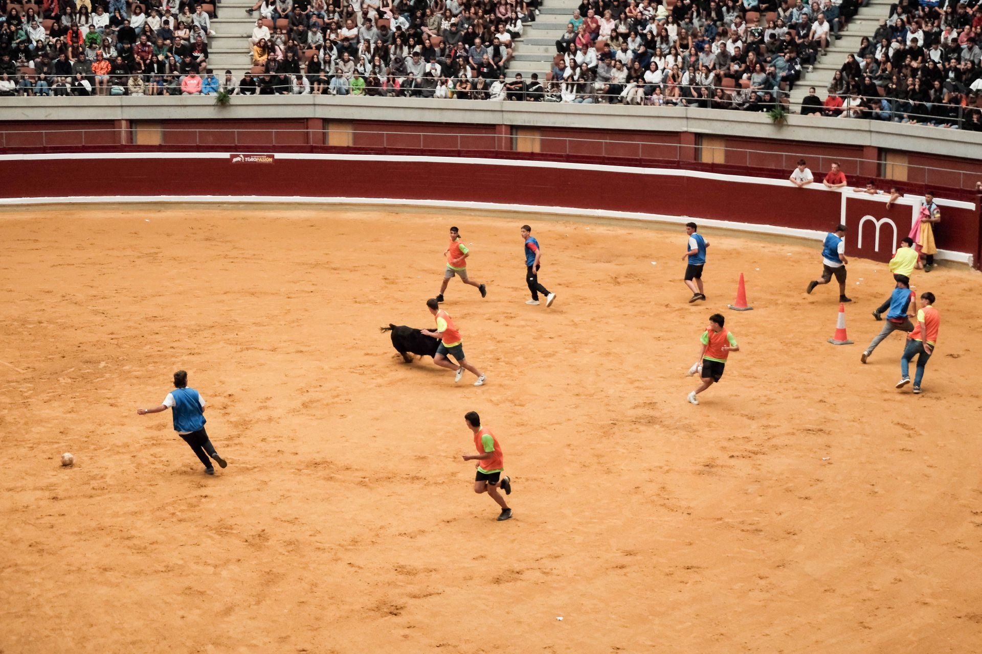 Las imágenes de las primeras vaquillas