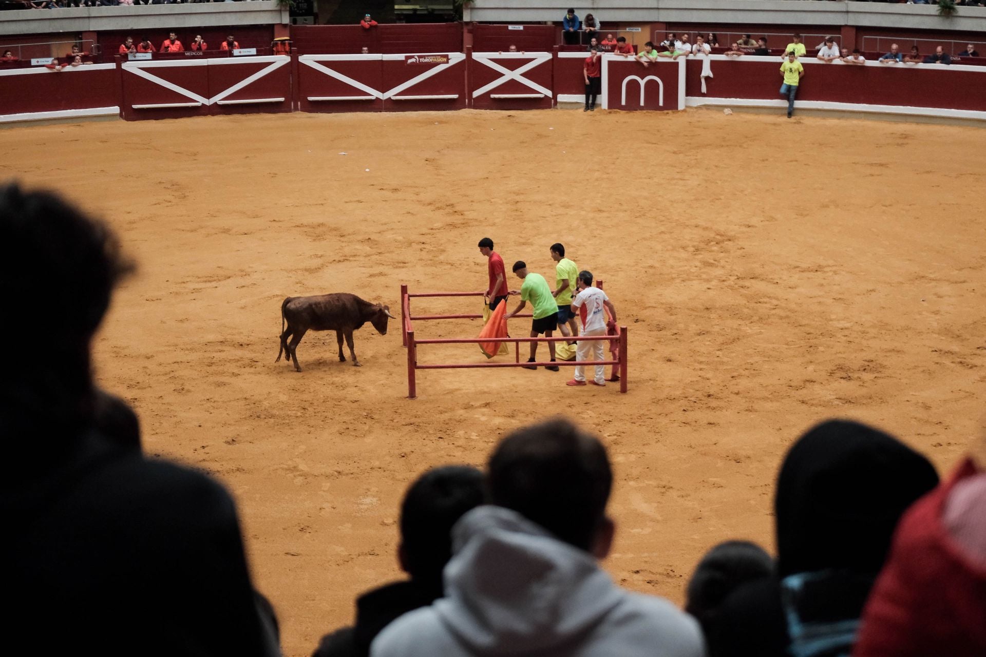 Las imágenes de las primeras vaquillas