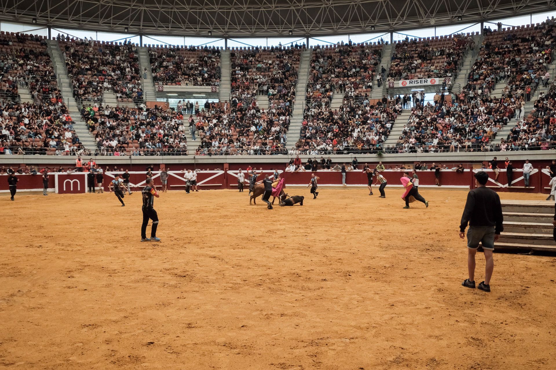 Las imágenes de las primeras vaquillas