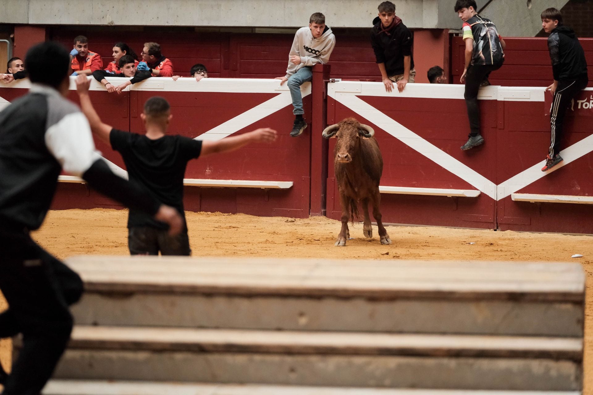 Las imágenes de las primeras vaquillas
