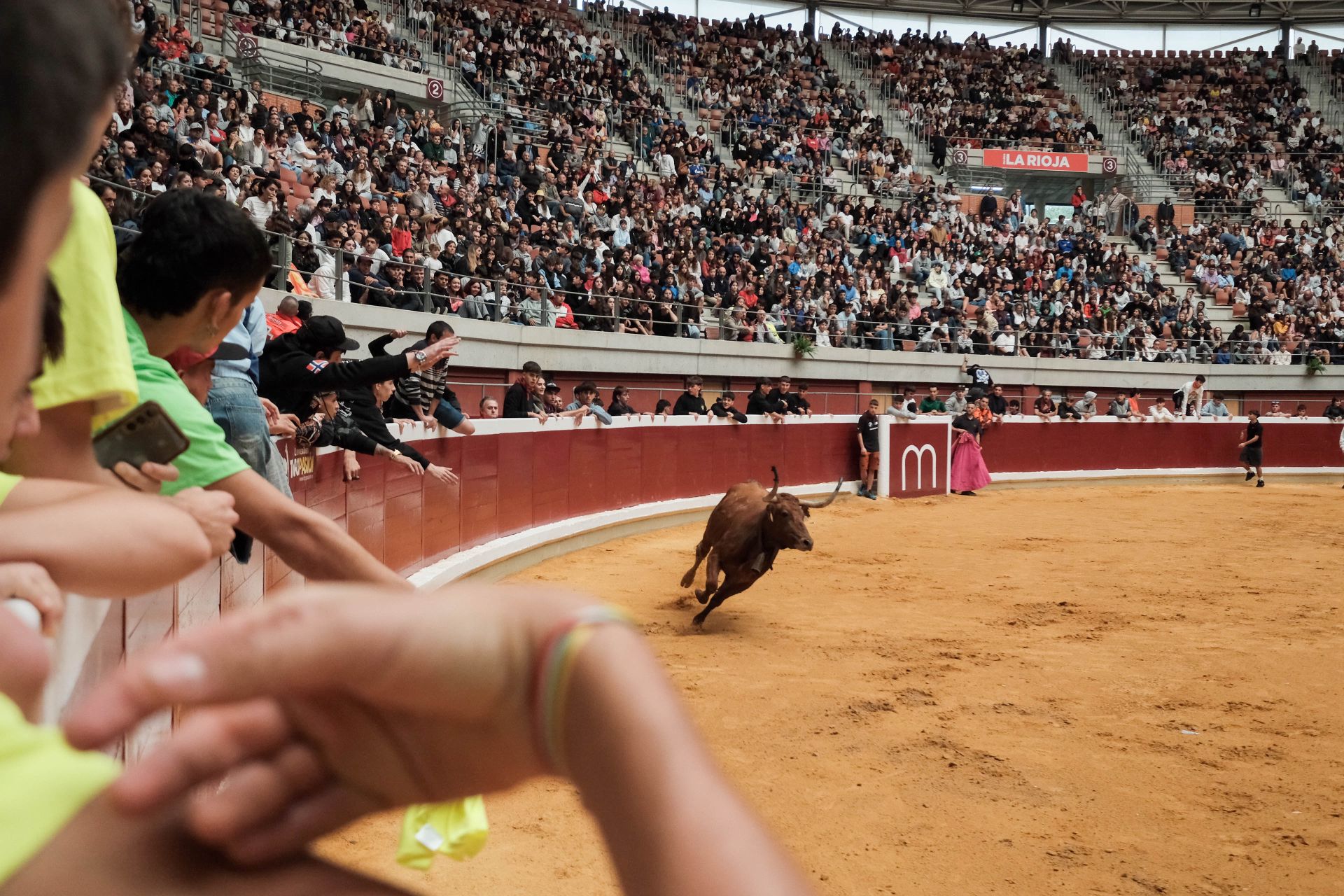 Las imágenes de las primeras vaquillas
