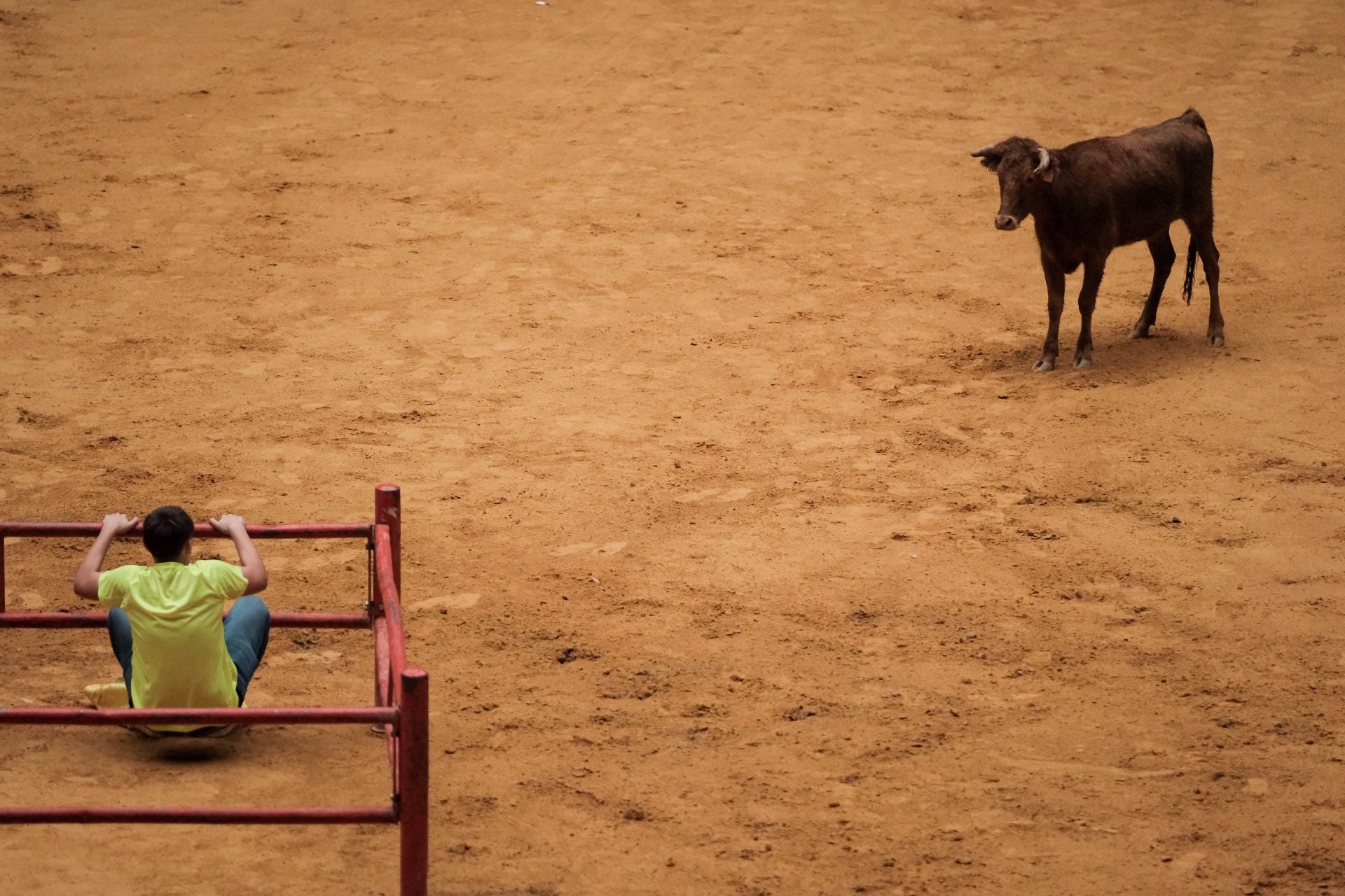 Las imágenes de las primeras vaquillas