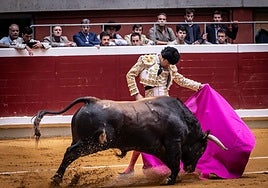 Un domingo de toros mateos