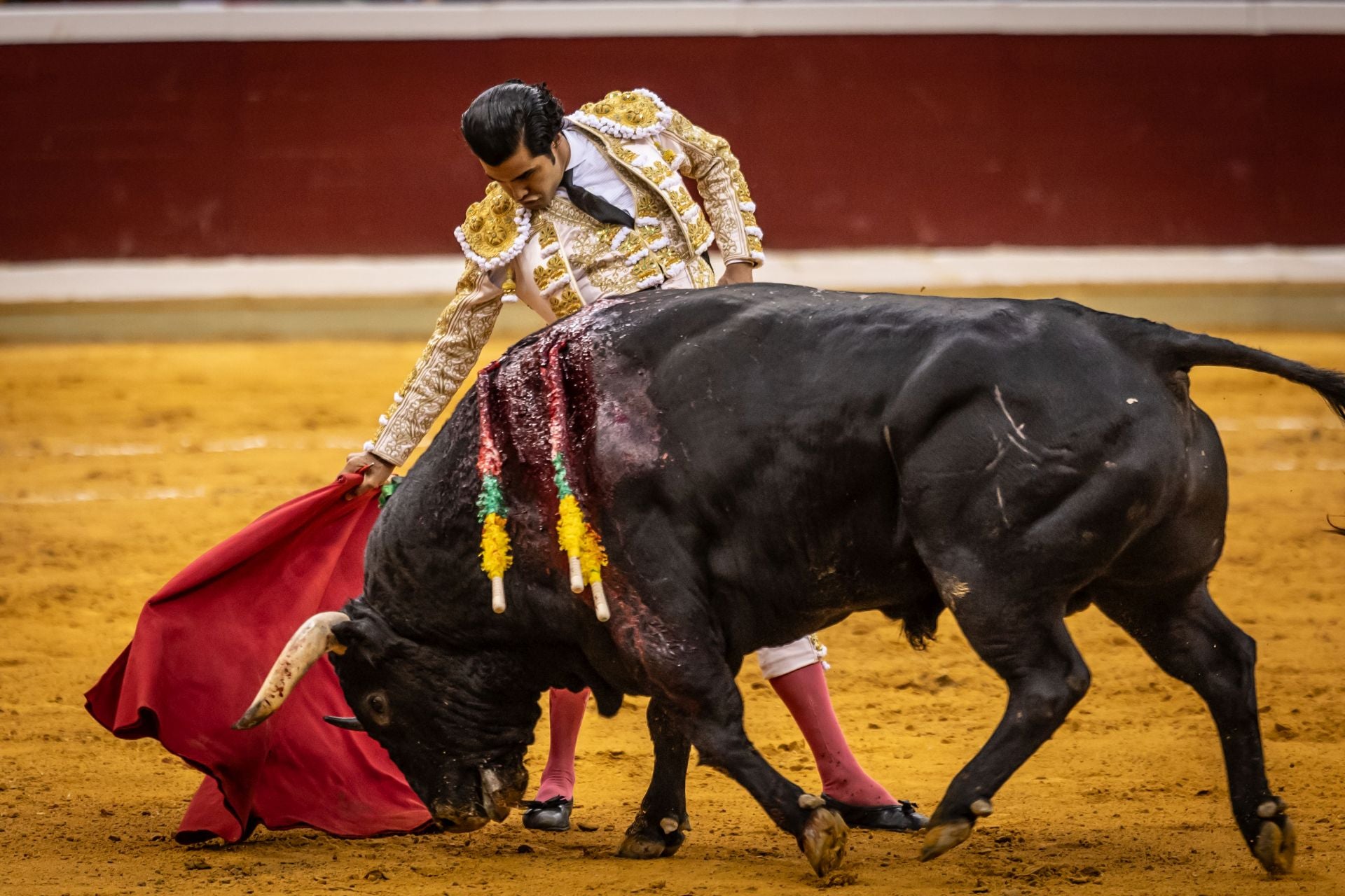 Un domingo de toros mateos