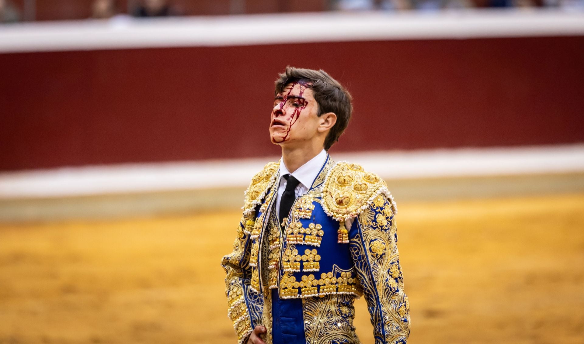 Un domingo de toros mateos